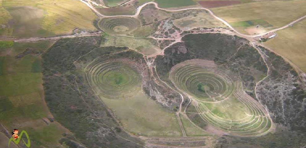 13 – copia